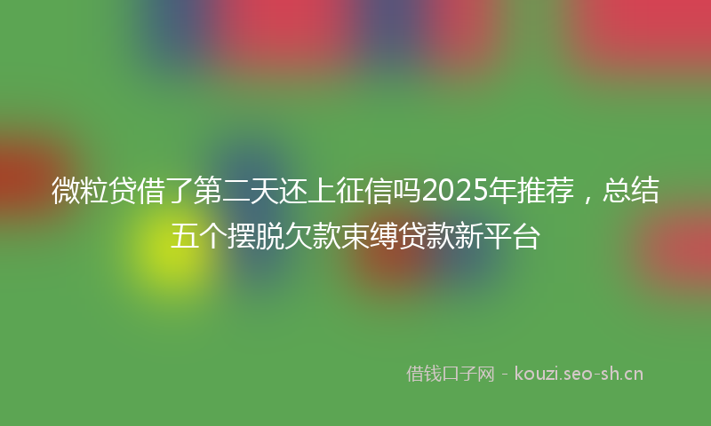 微粒贷借了第二天还上征信吗2025年推荐，总结五个摆脱欠款束缚贷款新平台