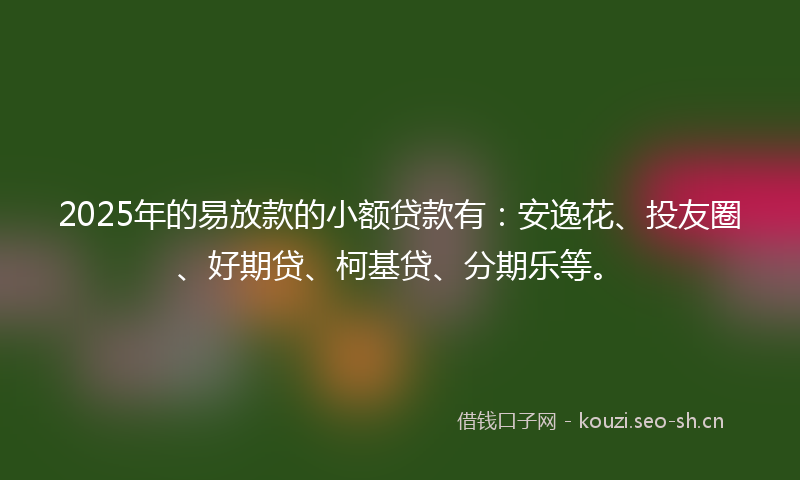 2025年的易放款的小额贷款有：安逸花、投友圈、好期贷、柯基贷、分期乐等。
