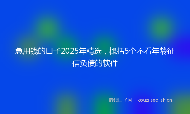 急用钱的口子2025年精选，概括5个不看年龄征信负债的软件