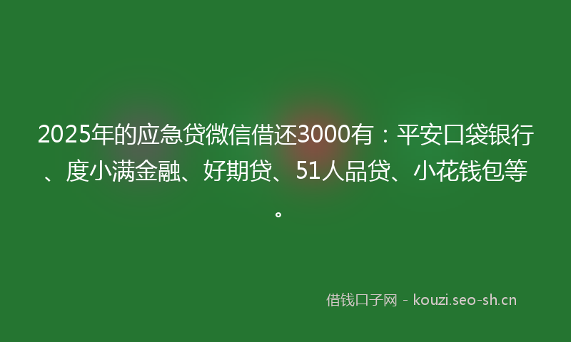 2025年的应急贷微信借还3000有：平安口袋银行、度小满金融、好期贷、51人品贷、小花钱包等。