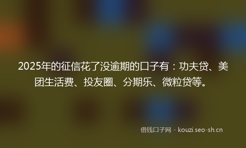 2025年的征信花了没逾期的口子有：功夫贷、美团生活费、投友圈、分期乐、微粒贷等。