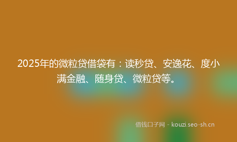 2025年的微粒贷借袋有：读秒贷、安逸花、度小满金融、随身贷、微粒贷等。