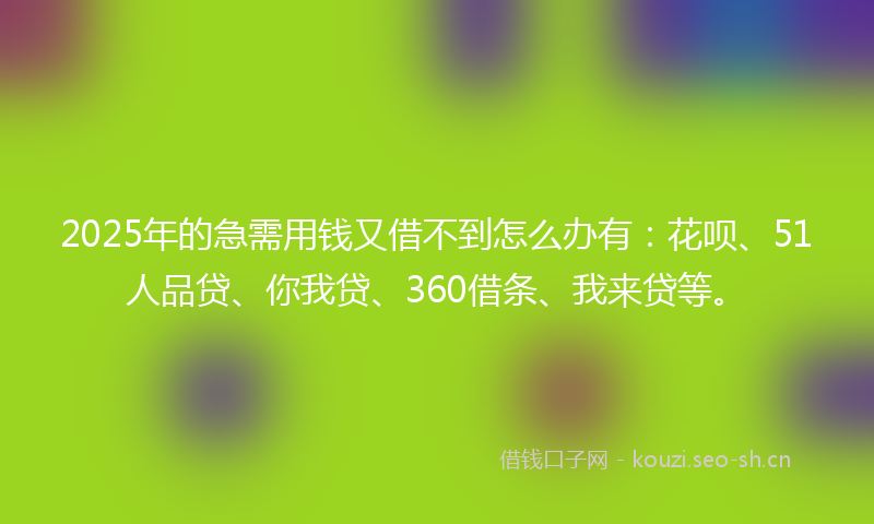 2025年的急需用钱又借不到怎么办有：花呗、51人品贷、你我贷、360借条、我来贷等。