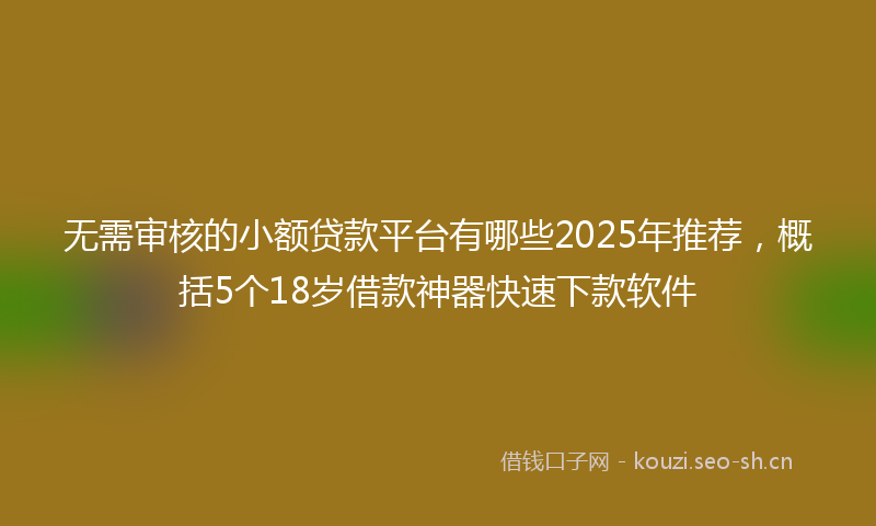 无需审核的小额贷款平台有哪些2025年推荐，概括5个18岁借款神器快速下款软件
