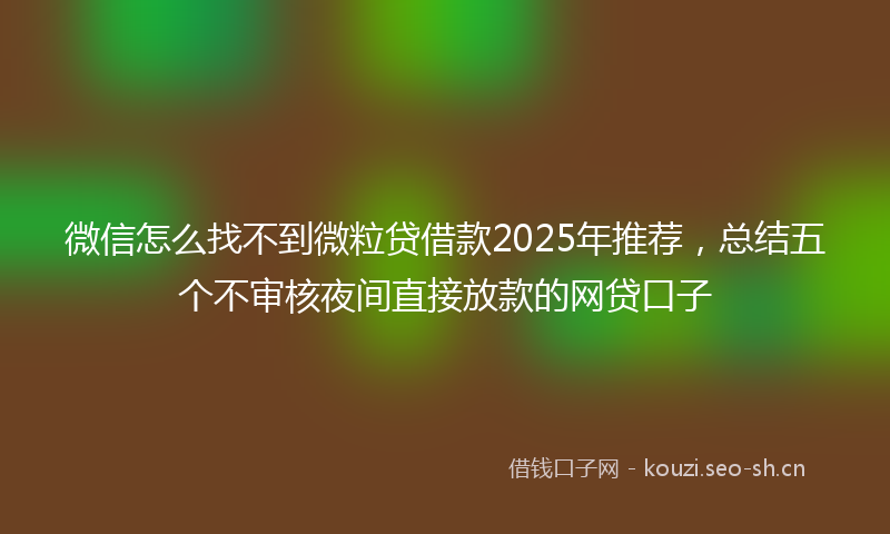 微信怎么找不到微粒贷借款2025年推荐，总结五个不审核夜间直接放款的网贷口子