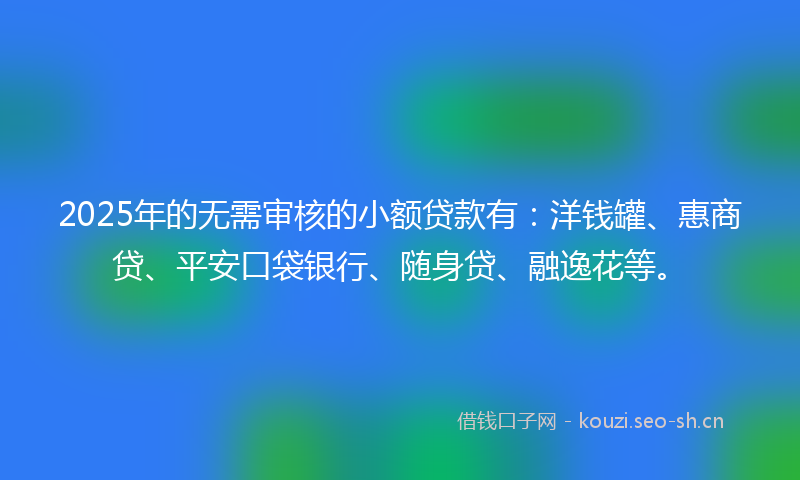 2025年的无需审核的小额贷款有：洋钱罐、惠商贷、平安口袋银行、随身贷、融逸花等。