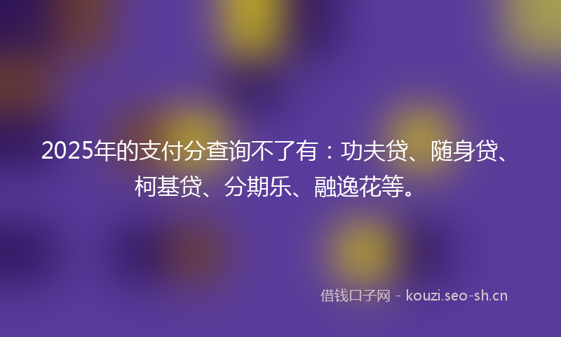 2025年的支付分查询不了有：功夫贷、随身贷、柯基贷、分期乐、融逸花等。