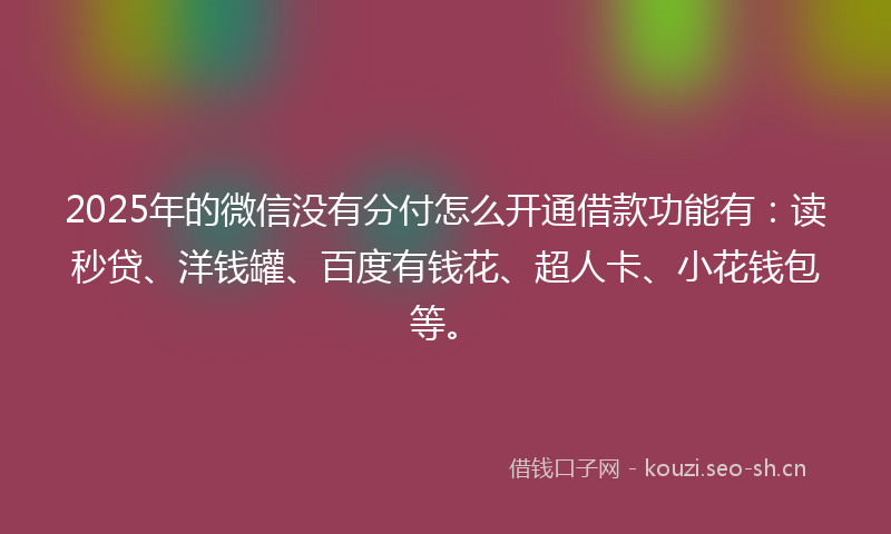2025年的微信没有分付怎么开通借款功能有：读秒贷、洋钱罐、百度有钱花、超人卡、小花钱包等。