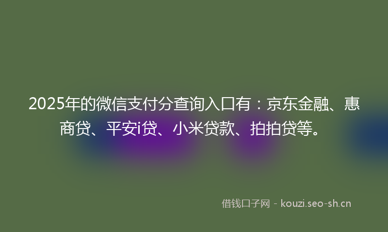 2025年的微信支付分查询入口有：京东金融、惠商贷、平安i贷、小米贷款、拍拍贷等。