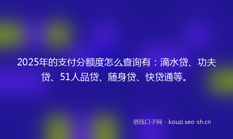 2025年的支付分额度怎么查询有：滴水贷、功夫贷、51人品贷、随身贷、快贷通等。