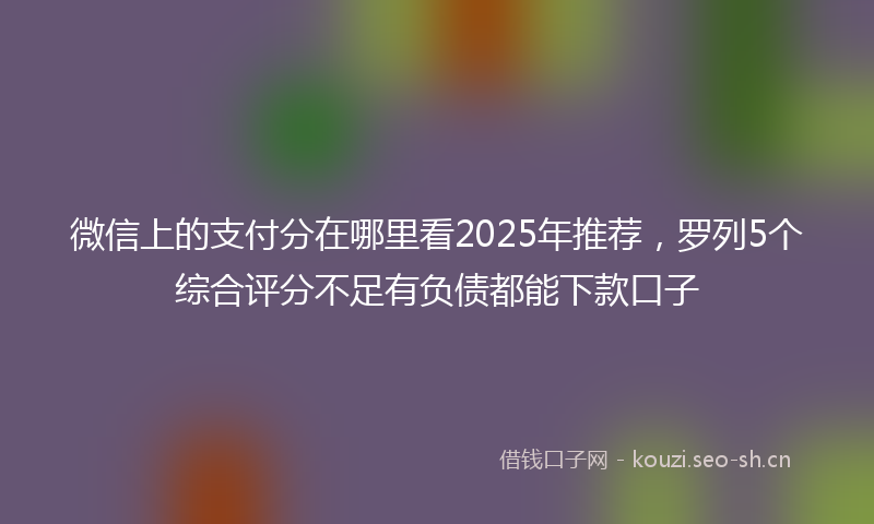 微信上的支付分在哪里看2025年推荐，罗列5个综合评分不足有负债都能下款口子