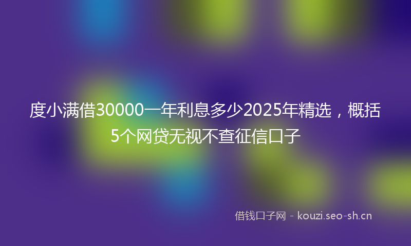 度小满借30000一年利息多少2025年精选，概括5个网贷无视不查征信口子