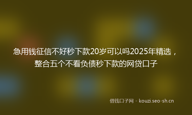 急用钱征信不好秒下款20岁可以吗2025年精选，整合五个不看负债秒下款的网贷口子