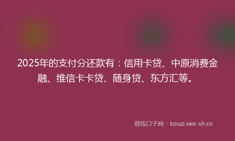 2025年的支付分还款有：信用卡贷、中原消费金融、维信卡卡贷、随身贷、东方汇等。