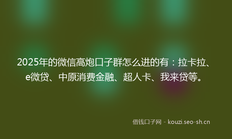 2025年的微信高炮口子群怎么进的有：拉卡拉、e微贷、中原消费金融、超人卡、我来贷等。