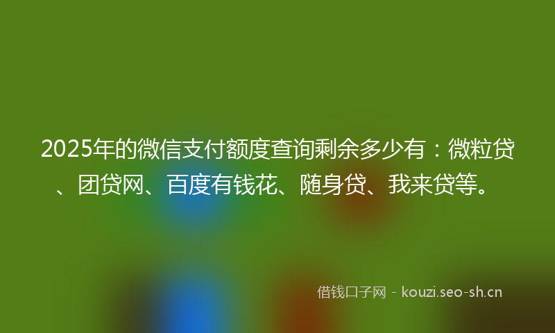 2025年的微信支付额度查询剩余多少有：微粒贷、团贷网、百度有钱花、随身贷、我来贷等。