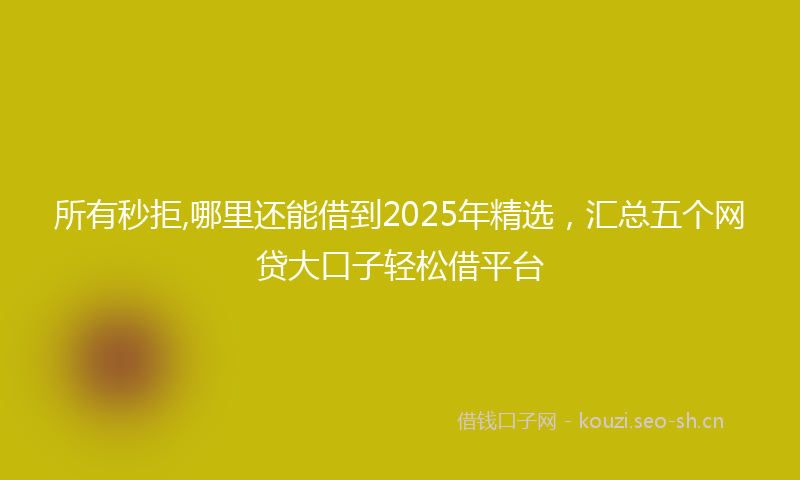 所有秒拒,哪里还能借到2025年精选，汇总五个网贷大口子轻松借平台