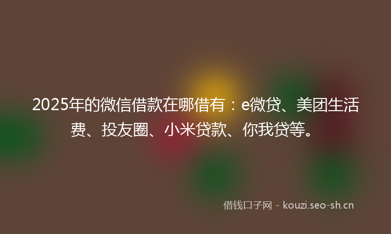 2025年的微信借款在哪借有：e微贷、美团生活费、投友圈、小米贷款、你我贷等。