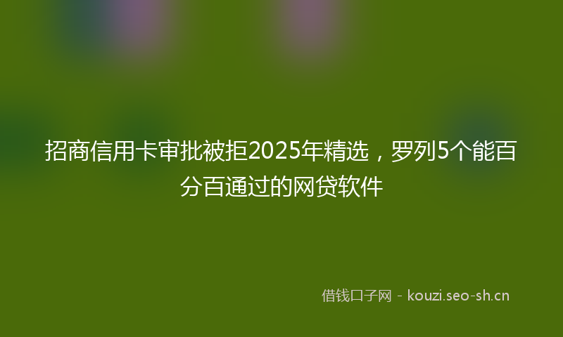 招商信用卡审批被拒2025年精选，罗列5个能百分百通过的网贷软件