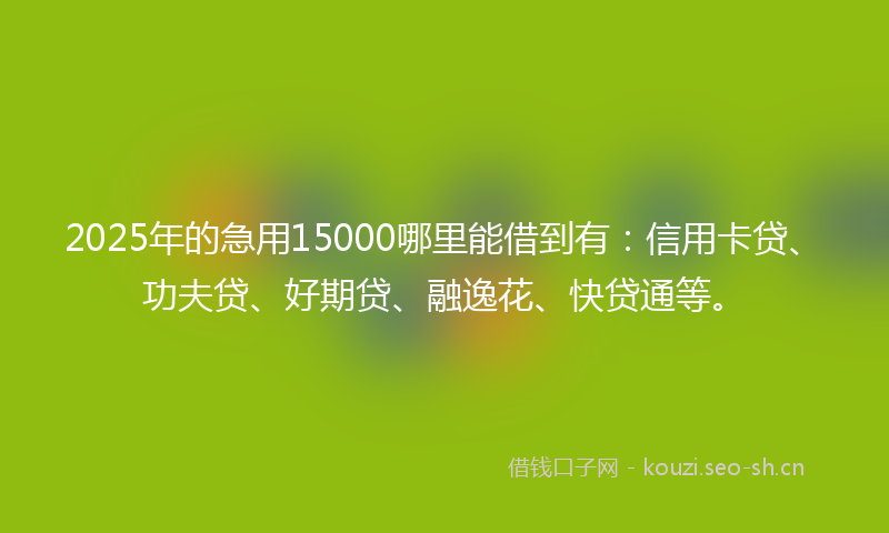 2025年的急用15000哪里能借到有：信用卡贷、功夫贷、好期贷、融逸花、快贷通等。