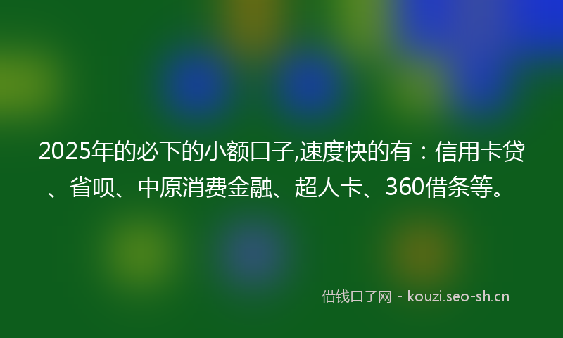 2025年的必下的小额口子,速度快的有：信用卡贷、省呗、中原消费金融、超人卡、360借条等。