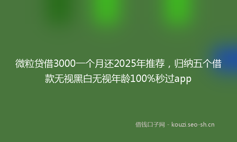 微粒贷借3000一个月还2025年推荐，归纳五个借款无视黑白无视年龄100%秒过app