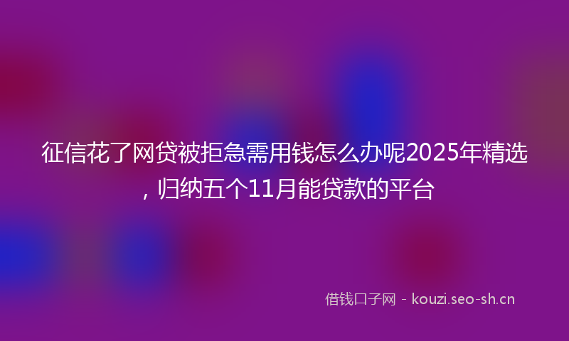 征信花了网贷被拒急需用钱怎么办呢2025年精选，归纳五个11月能贷款的平台