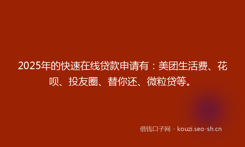 2025年的快速在线贷款申请有：美团生活费、花呗、投友圈、替你还、微粒贷等。