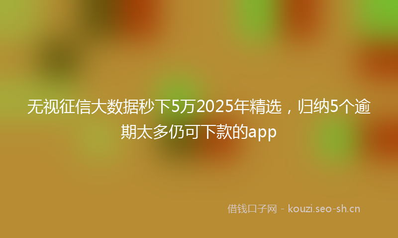 无视征信大数据秒下5万2025年精选，归纳5个逾期太多仍可下款的app