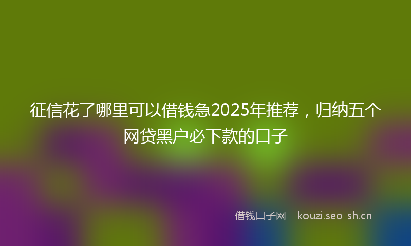 征信花了哪里可以借钱急2025年推荐，归纳五个网贷黑户必下款的口子