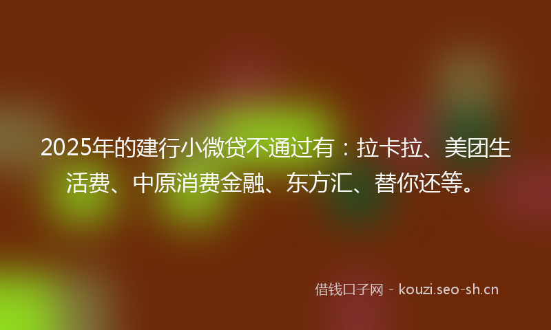 2025年的建行小微贷不通过有：拉卡拉、美团生活费、中原消费金融、东方汇、替你还等。