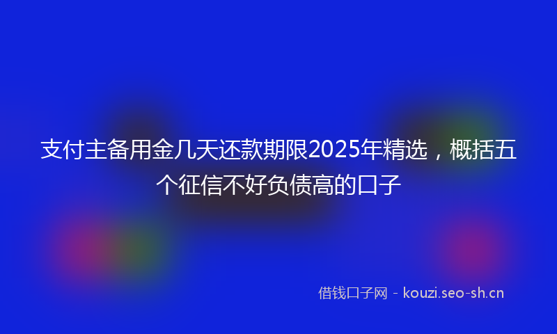 支付主备用金几天还款期限2025年精选，概括五个征信不好负债高的口子