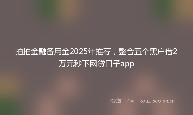 拍拍金融备用金2025年推荐，整合五个黑户借2万元秒下网贷口子app
