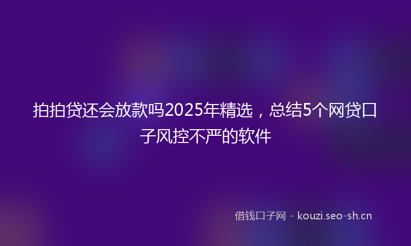 拍拍贷还会放款吗2025年精选，总结5个网贷口子风控不严的软件