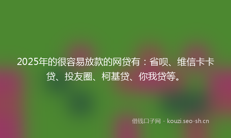 2025年的很容易放款的网贷有：省呗、维信卡卡贷、投友圈、柯基贷、你我贷等。