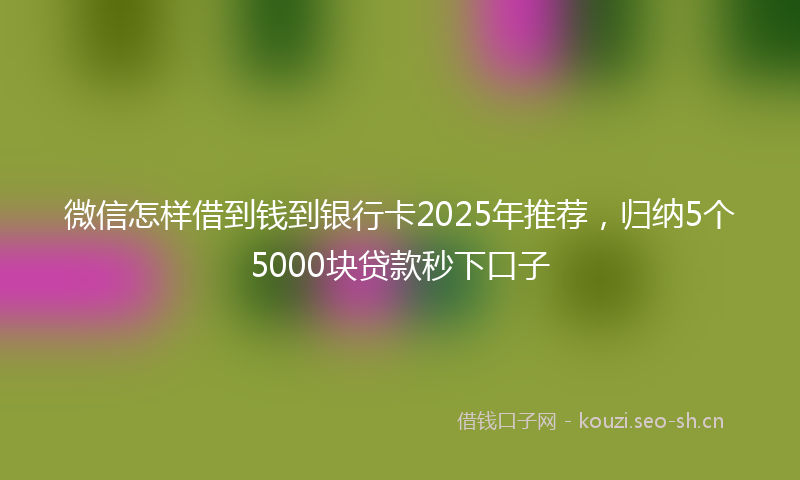 微信怎样借到钱到银行卡2025年推荐,归纳5个5000块贷款秒下口子