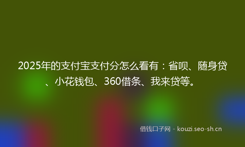 2025年的支付宝支付分怎么看有：省呗、随身贷、小花钱包、360借条、我来贷等。