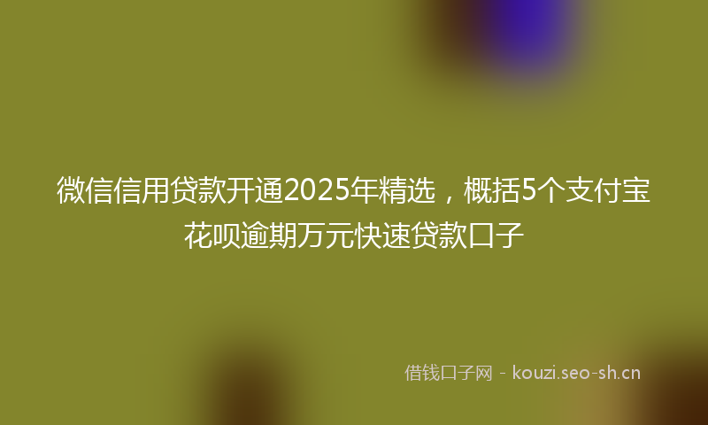 微信信用贷款开通2025年精选，概括5个支付宝花呗逾期万元快速贷款口子
