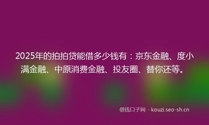 2025年的拍拍贷能借多少钱有：京东金融、度小满金融、中原消费金融、投友圈、替你还等。