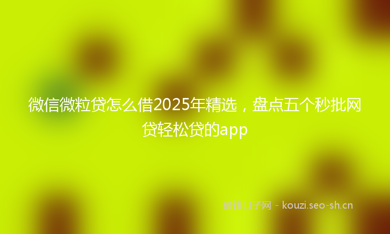 微信微粒贷怎么借2025年精选，盘点五个秒批网贷轻松贷的app