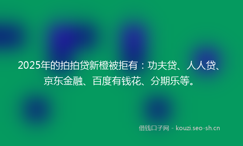 2025年的拍拍贷新橙被拒有：功夫贷、人人贷、京东金融、百度有钱花、分期乐等。