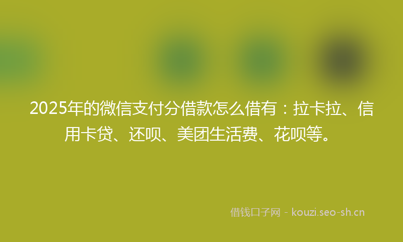 2025年的微信支付分借款怎么借有：拉卡拉、信用卡贷、还呗、美团生活费、花呗等。
