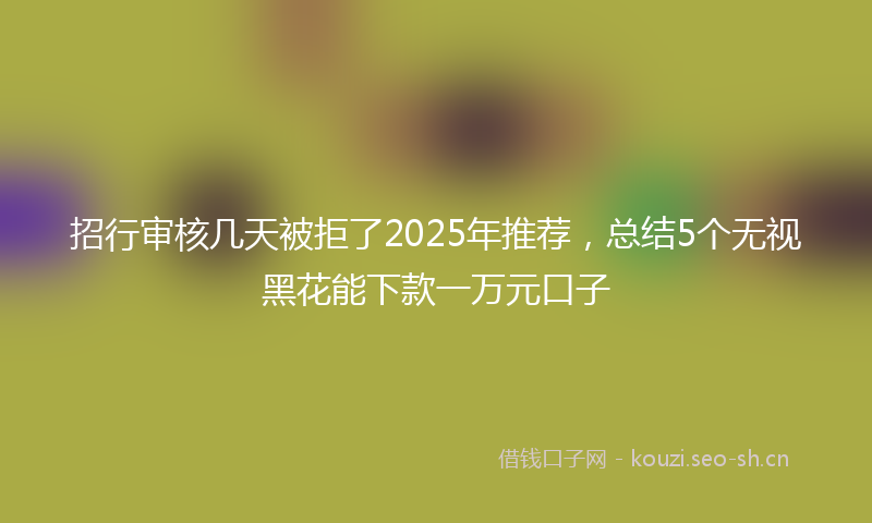 招行审核几天被拒了2025年推荐，总结5个无视黑花能下款一万元口子