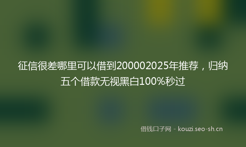 征信很差哪里可以借到200002025年推荐，归纳五个借款无视黑白100%秒过