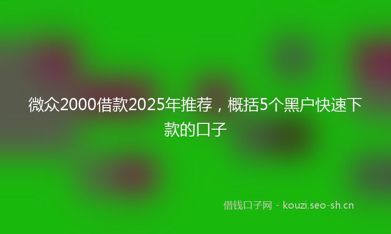 微众2000借款2025年推荐，概括5个黑户快速下款的口子