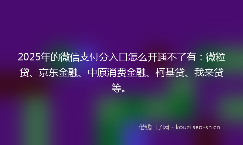 2025年的微信支付分入口怎么开通不了有：微粒贷、京东金融、中原消费金融、柯基贷、我来贷等。