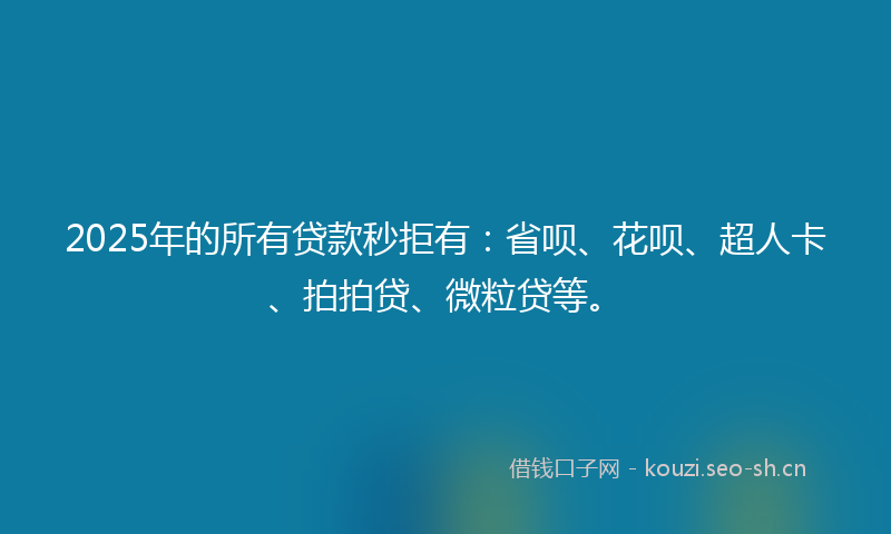 2025年的所有贷款秒拒有：省呗、花呗、超人卡、拍拍贷、微粒贷等。