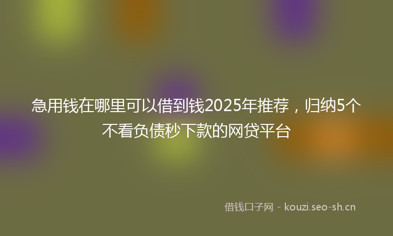 急用钱在哪里可以借到钱2025年推荐，归纳5个不看负债秒下款的网贷平台