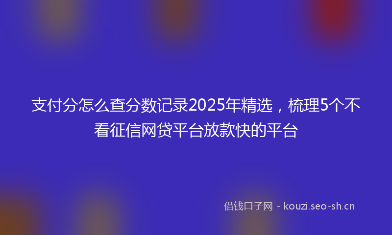 支付分怎么查分数记录2025年精选，梳理5个不看征信网贷平台放款快的平台