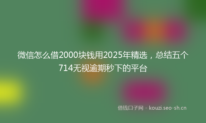 微信怎么借2000块钱用2025年精选,总结五个714无视逾期秒下的平台